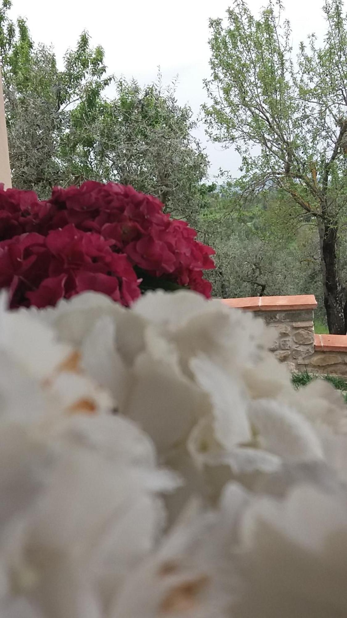 Il Fienile Holiday Home Le Fornacette Екстериор снимка